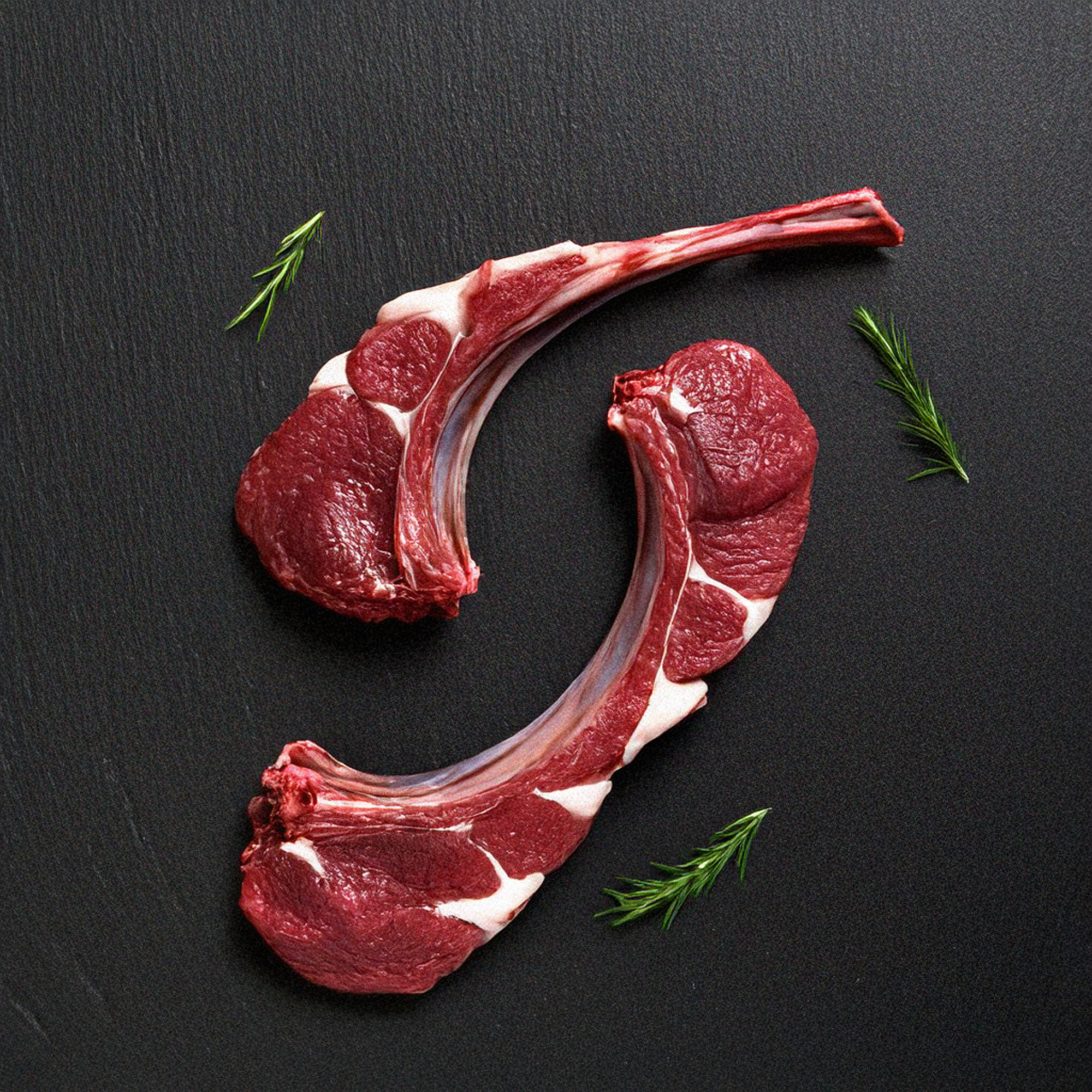 Lamb